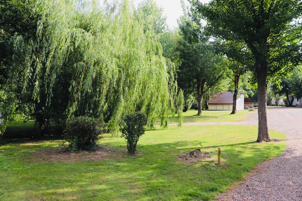 Camping 85 : Le camping Les Mancellières, au cœur de la nature vendéenne 2 IMG 20210610 WA0010